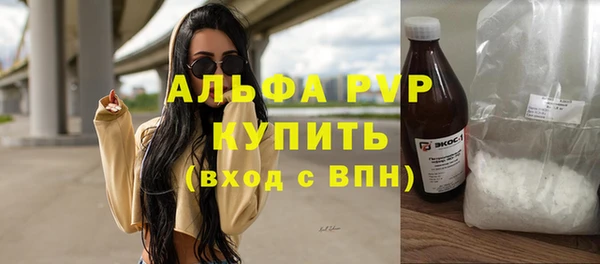 гашик Алексин