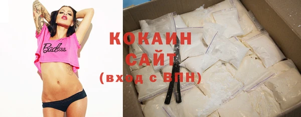 ECSTASY Алзамай