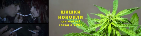 гашик Алексин