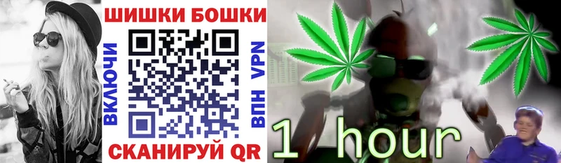 Бошки марихуана Amnesia Белоярский